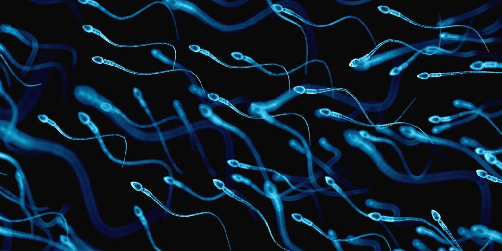 does marijuana damage sperm