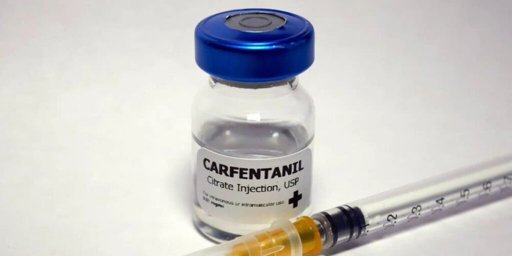 the carfentanil high